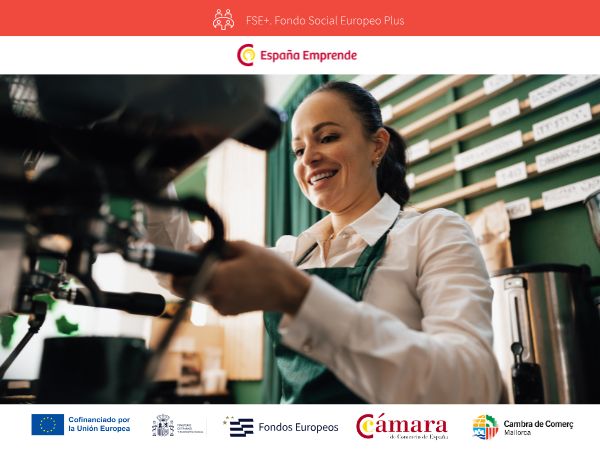 Ajudes per la consolidació i el creixement sostenible d'autònoms: 